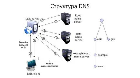 Dns инструкция по применению