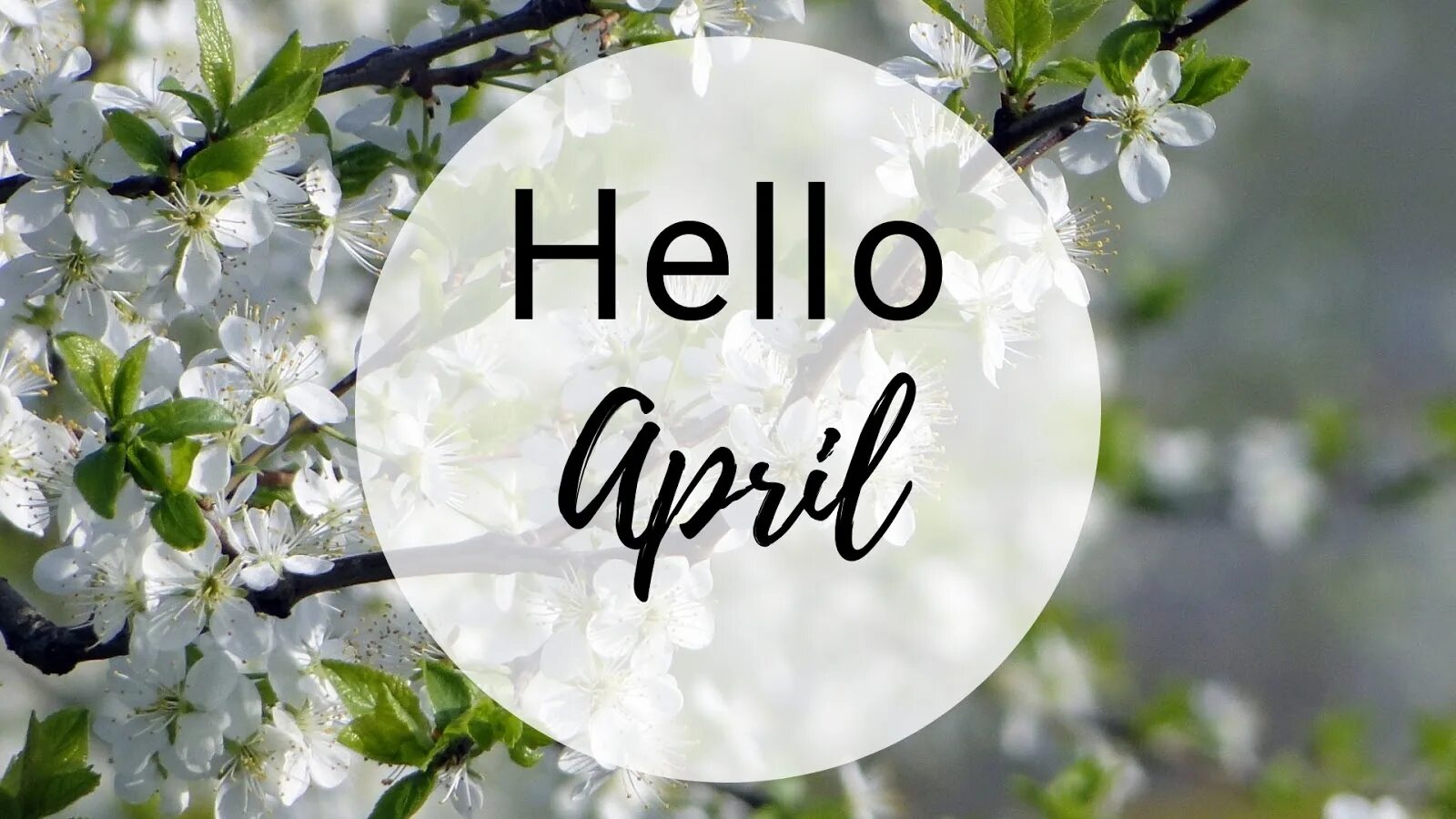 Пройдет апрель. Привет март надпись. Hello апрель картинки. Hello April обои. Хелло апрель снег