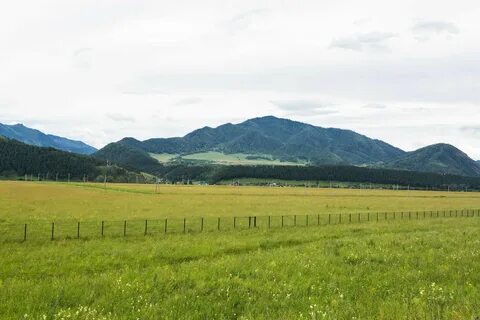 Продам участок алтайское