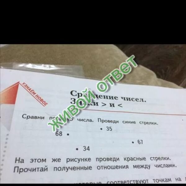 Сравнить числа попарно и проведи синие стрелки. Сравни числа проведи стрелки. Сравни числа попарно. Сравни попарно числа проведи синие.