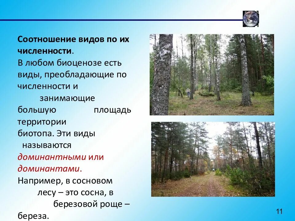 Понятие о биоценозе