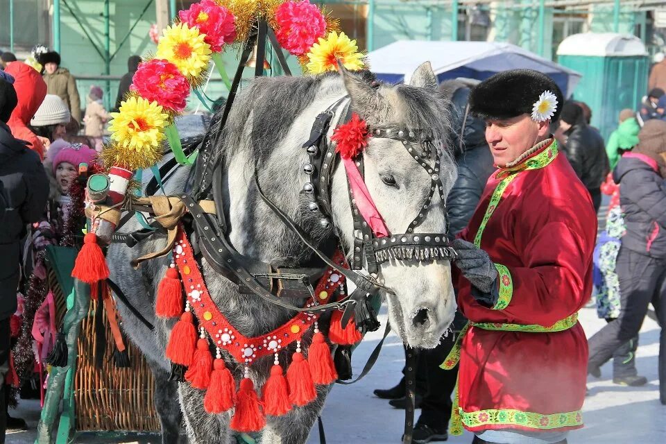 Масленица красная горка. Масленица лошади. Масленица катания на лошадях. Украшение лошади на Масленицу. Масленичные гуляния на лошадях.