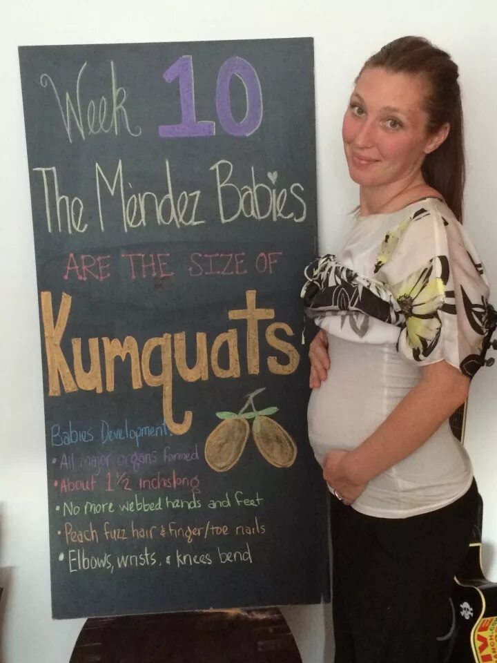 10 week old. 10 weeks pregnant.