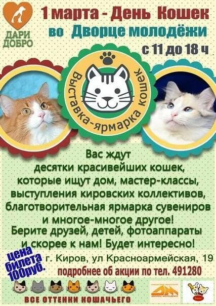 Всемирный день кошек. День кошек в России. Праздник кошек в России. День кошек информация