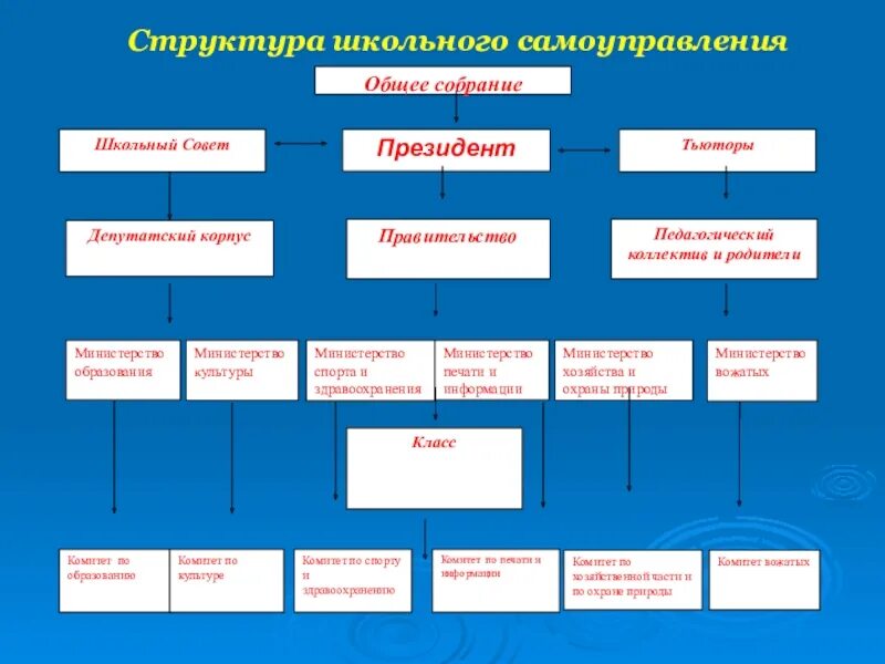 Формы самоуправления учреждения. Структура органов ученического самоуправления в школе. Структура школьного самоуправления схема. Структура самоуправления в школе схема. Состав ученического самоуправления в школе.