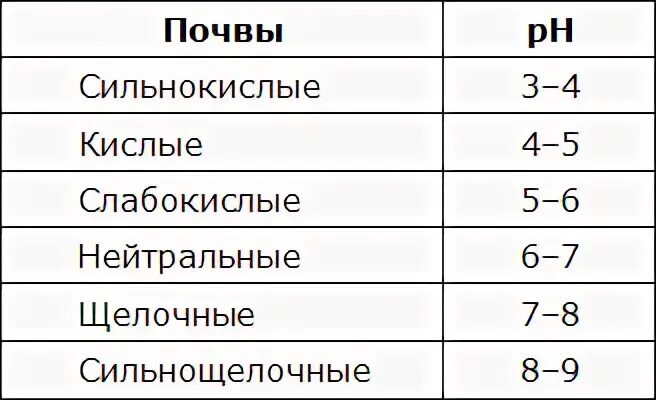 Какую почву предпочитают
