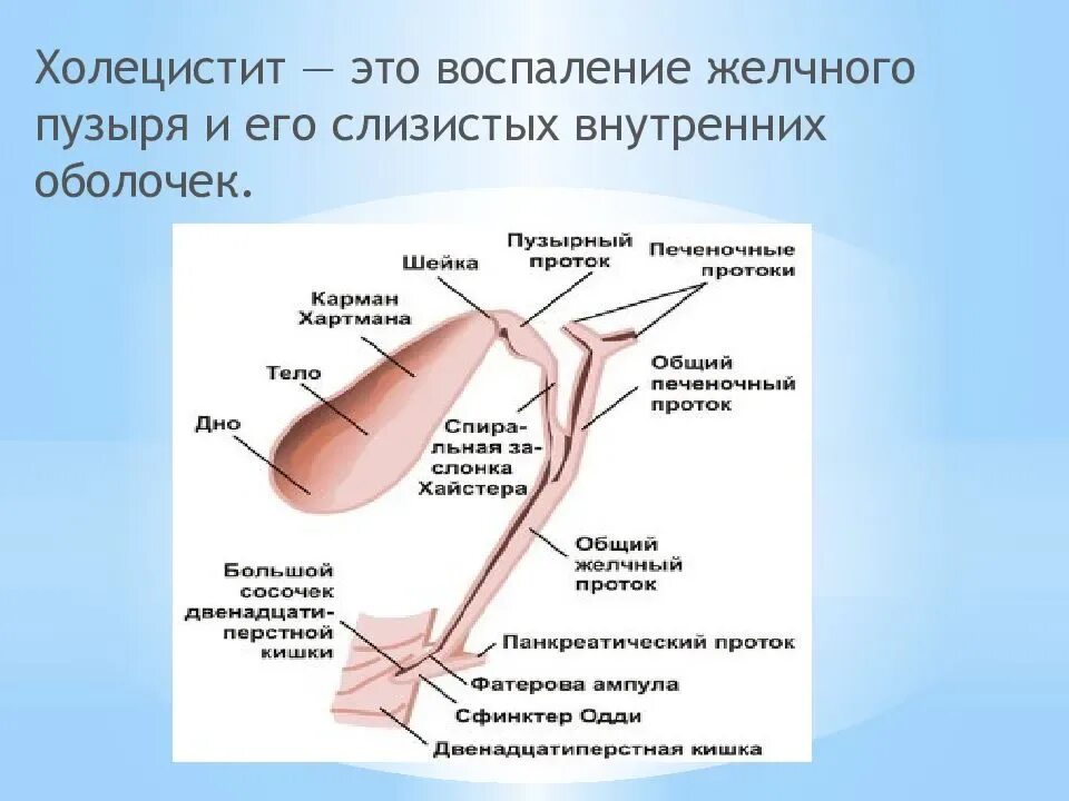 Препараты при воспалении желчного пузыря. Холицистоз желчного пузыря. Холецистит воспаление.