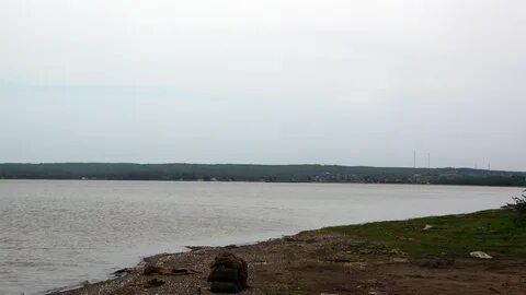 Тавричанка