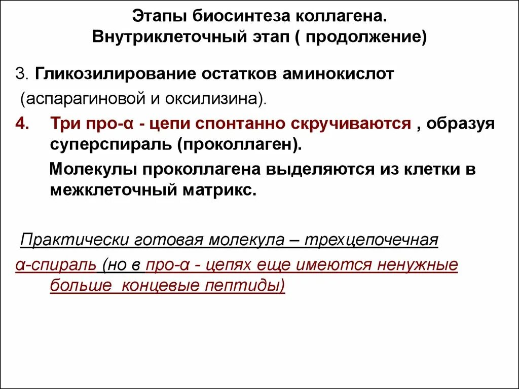 Синтезируют коллаген. Синтез коллагена 2 этапа. Этапы биосинтеза коллагена. Стадии биосинтеза коллагена. Синтез коллагена биохимия.