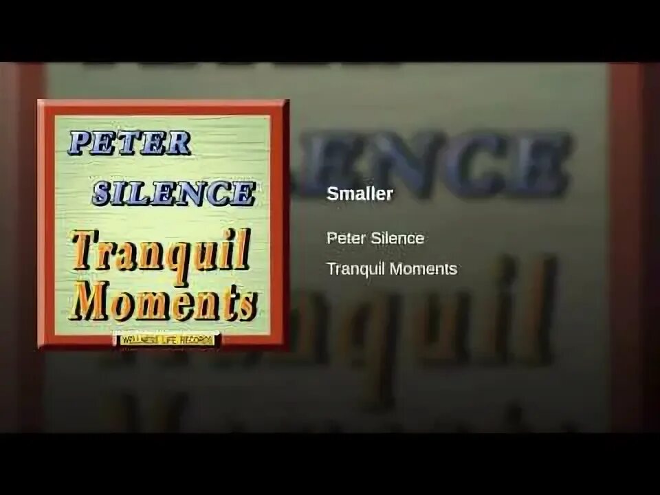 Digital silence peter. Steel and silence. silent steel.