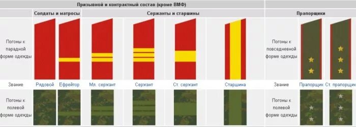 Сержант какие погоны