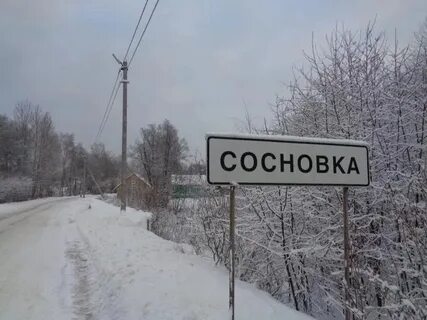 Сосновка населенные пункты
