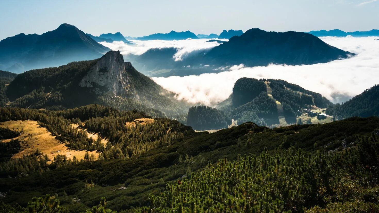 Швейцария манзаралари. Обрыв горы. Альпы франция лес. Фон горы. Поле вершины горы.