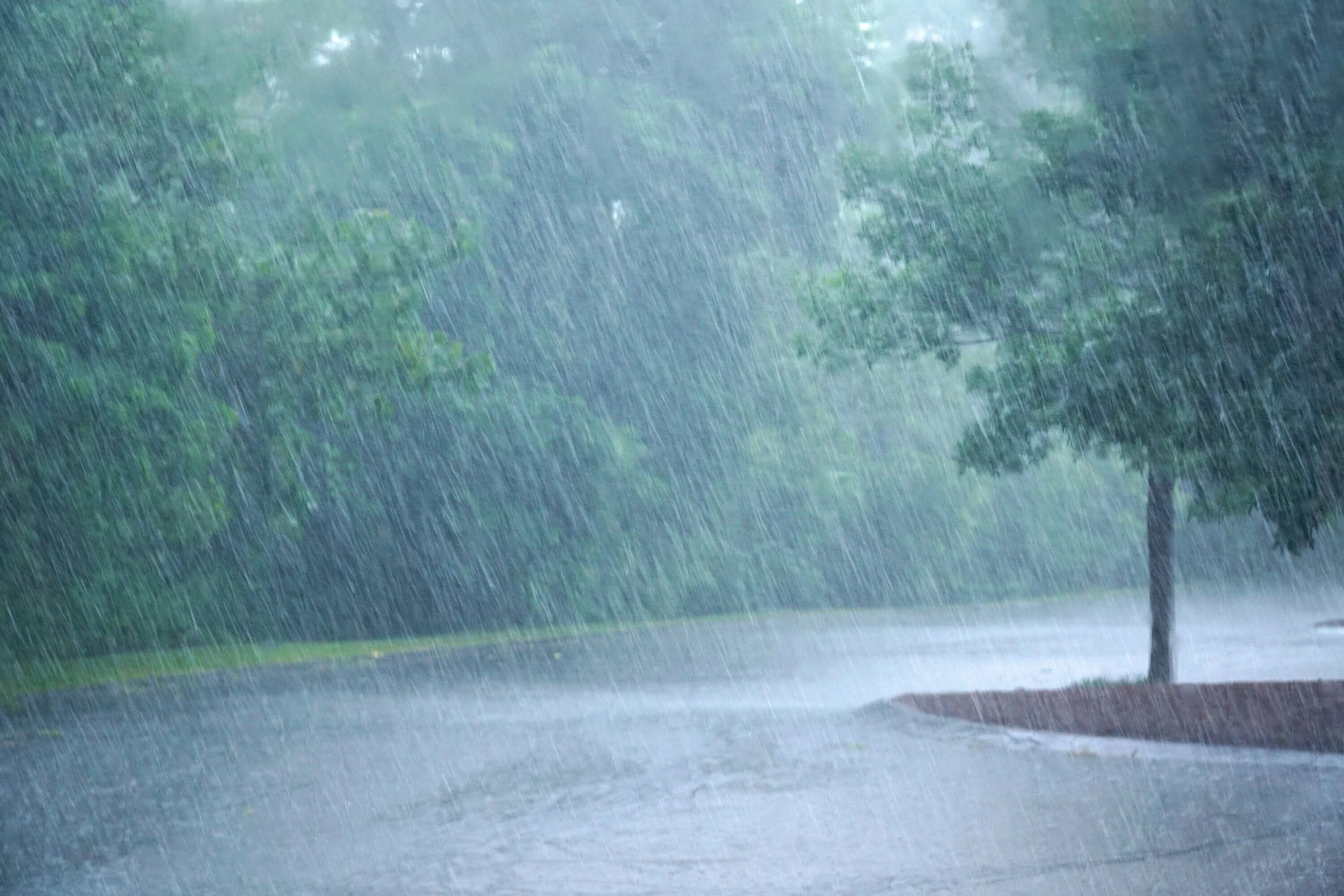 В течение дня шел сильный дождь. Обложной дождь. Сильный дождь. Ливень. Проливной ливень.