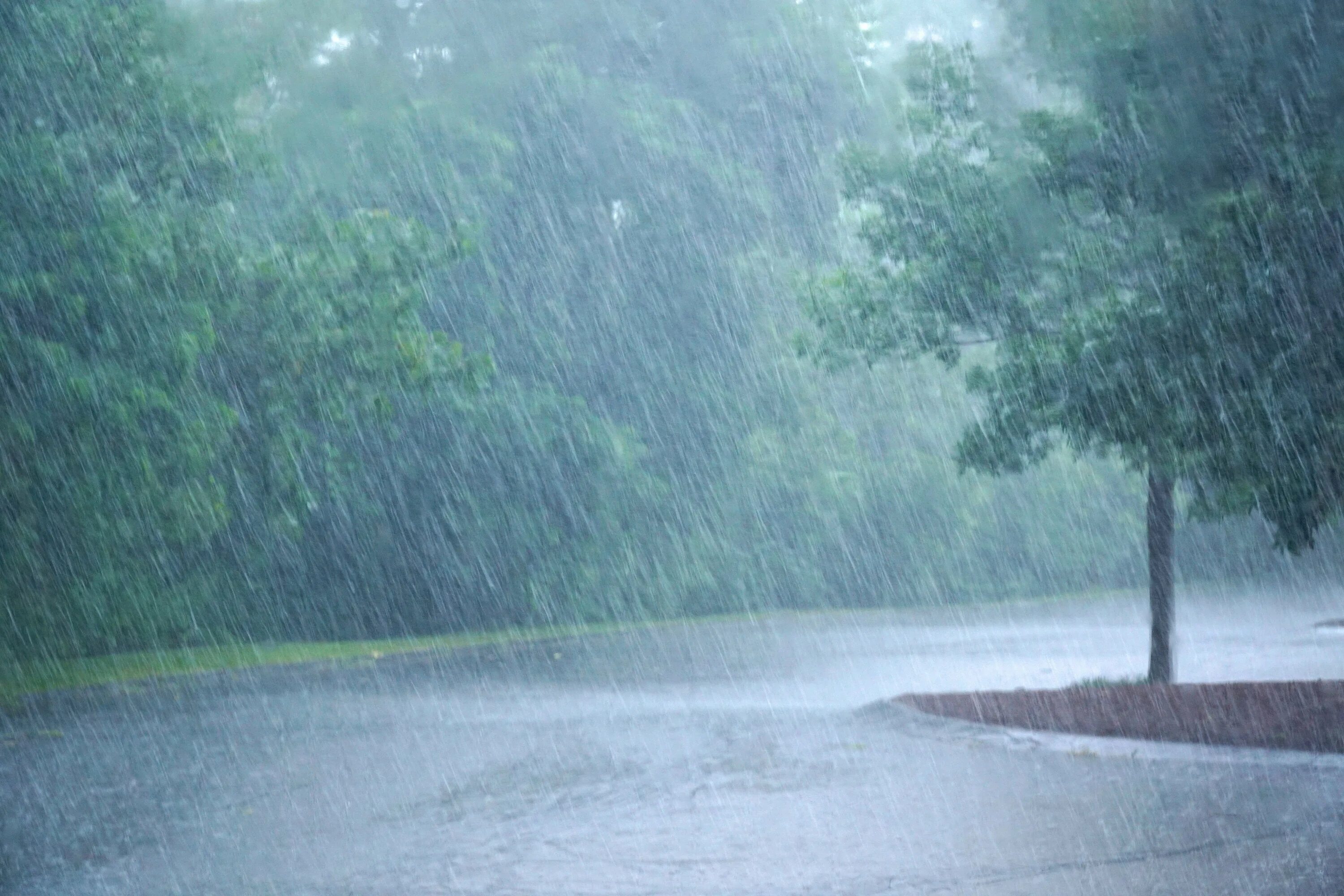 Обложной дождь. Сильный дождь. Ливень. Ливневые дожди. Raining windy