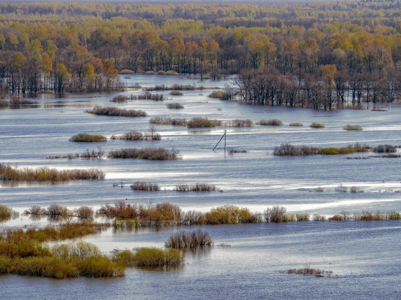 Погода на большая вода