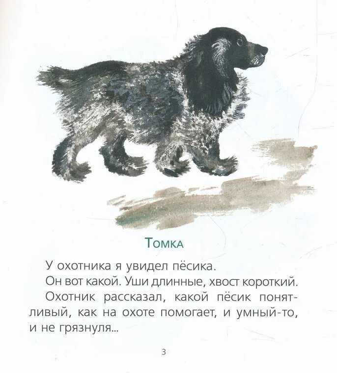 Чарушин рассказы про Томку. Чарушин про Томку. Иллюстрация к рассказу Томка Чарушин. Рассказы про томку