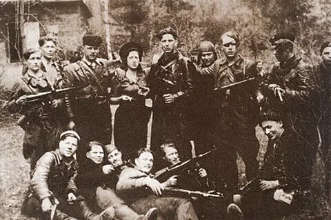 Плетневские партизаны рассказ