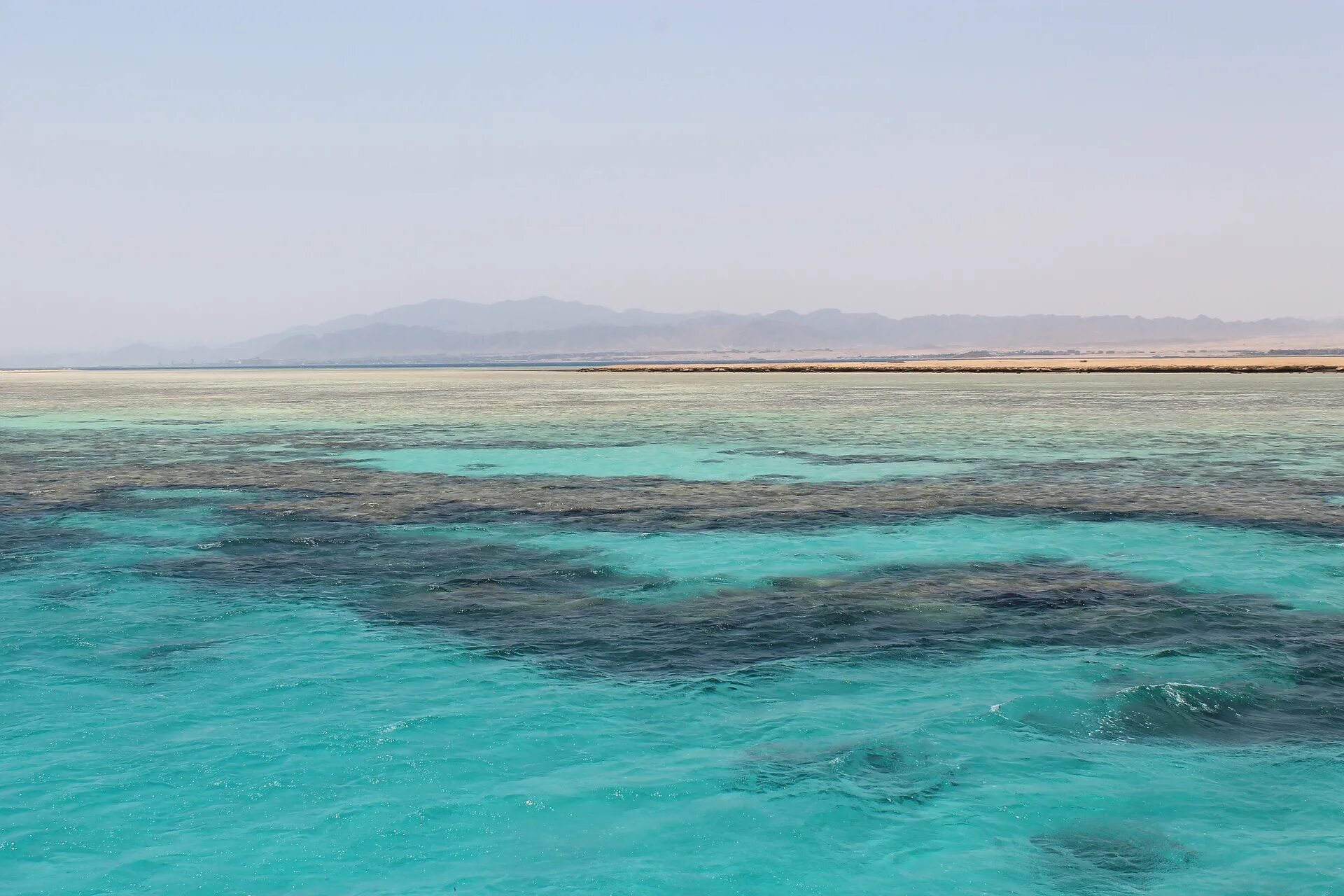 Самое теплое и соленое море африки. Красное море Египет. Чермное красное море. Рифы в Египте. Красное море фото.