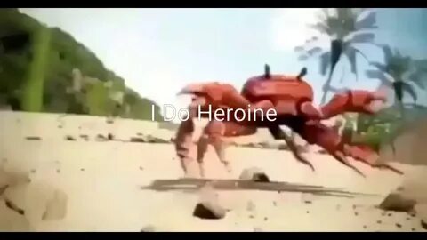 Мы танцуем крабика видео