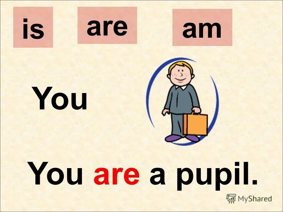 Английское стихотворение i am a pupil. I a pupil вставить глагол to be. Английское стихотворение i am a pupil. Задания на притяжательные местоимения в английском языке 5 класс. Am is are стихотворение.
