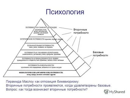 Базовые и высшие потребности