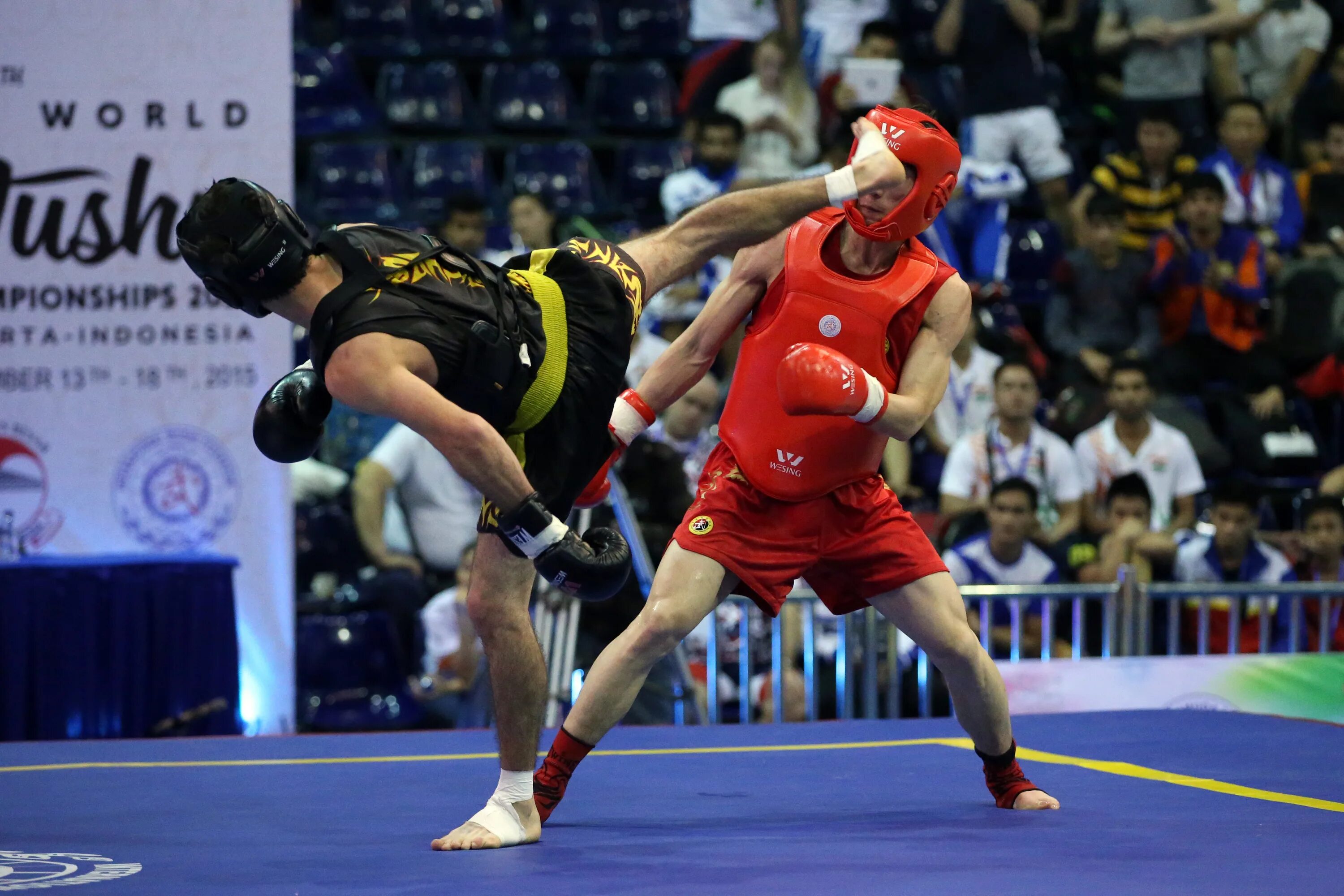 кунг-фу саньда. боевое искусство тхэквондо итф. магомед алиев мма. самбо (борьба) самбисты россии. ушу саньда и кунг фу.