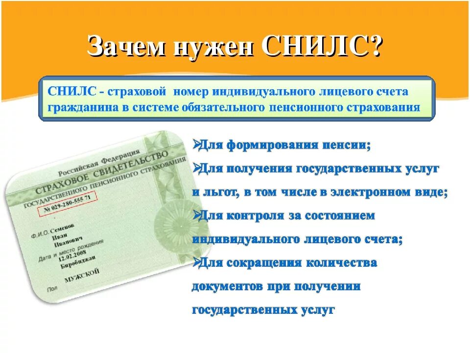 Данные индивидуального лицевого счета. Снилс. страховой номер индивидуального лицевого счета снилс. для чего нужен снилс. снилс где получить.