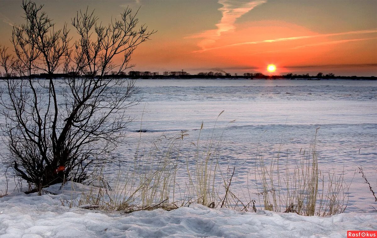 Тарас бибич. Холодное солнце фильм 2021. Холодное солнце содержание. След холодное солнце. Холодно солнце.