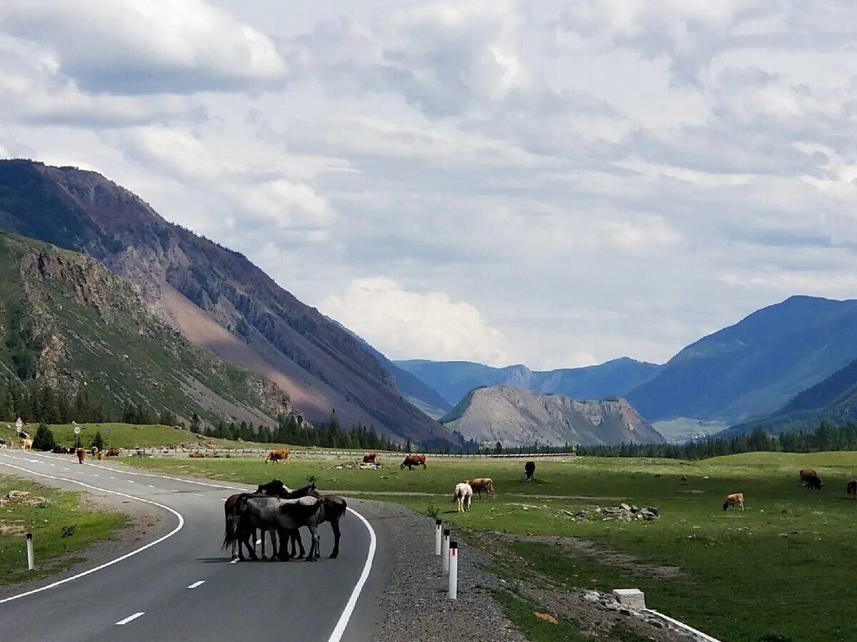 Горный Алтай 2021. Гора желаний Алтай. Алтай 2021 год фото. Отдых на Алтае в сентябре 2022.