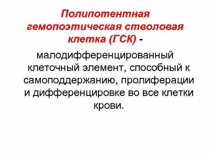 Полипотентные стволовые кроветворные клетки это. Полипотентной гемопоэтической стволовой клетка. Гемопоэтические (кроветворные) стволовые клетки (ГСК). Гемопоэтическая стволовая клетка (ГСК);.