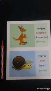 Kangaroo транскрипция и перевод произношение