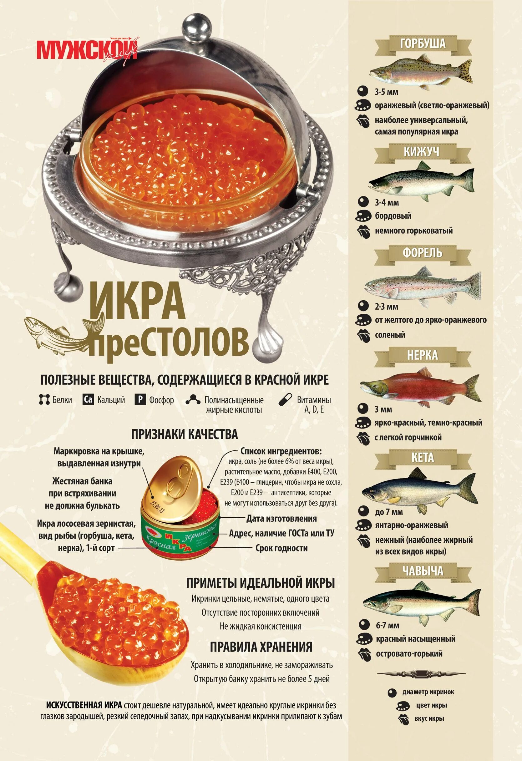 Икра рыбы какая бывает. Маркировка икры. Виды красной икры. Икра рыбы. Характеристики красной икры.