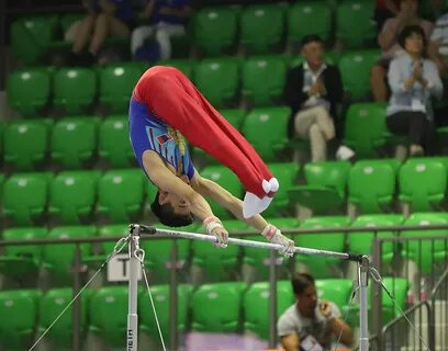 Турник спортивная гимнастика