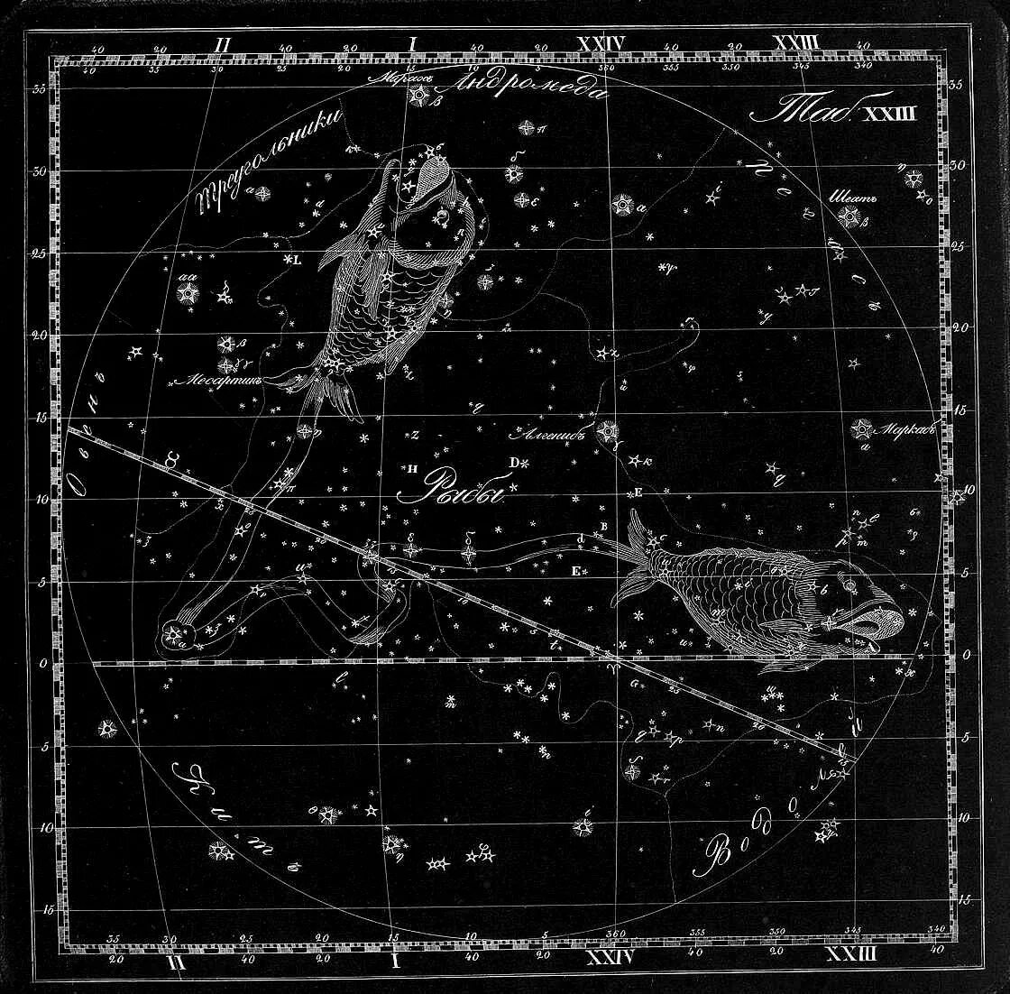 Созвездие рыбы звезды. Созвездие рыбы. Созвездие рыбы на небе. Карта созвездий. Созвездие рыбы астрономия.