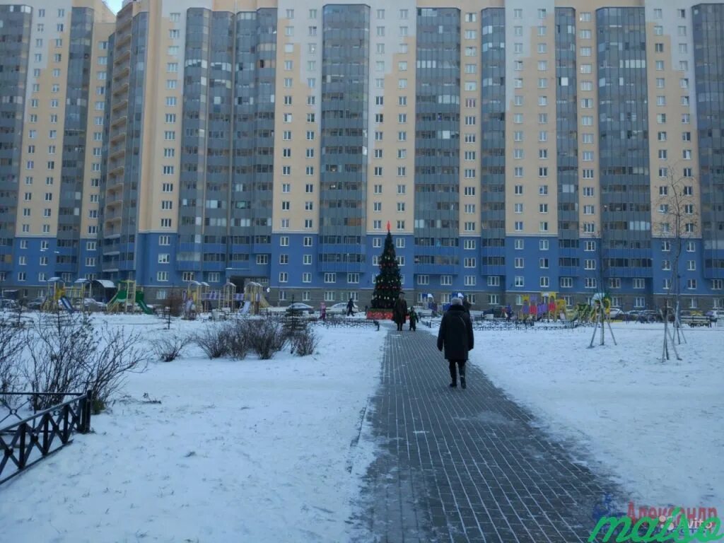 Коллонтай 5. Ул коллонтай 51. улица коллонтай (санкт-петербург).