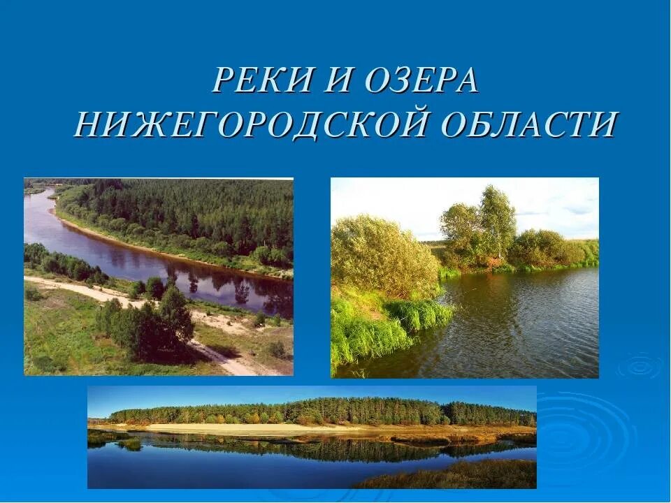 Природа родного края Нижегородская область проект. Природные объекты Нижегородской области. Разнообразие природы Нижегородского края. Реки и озера Нижегородской области.