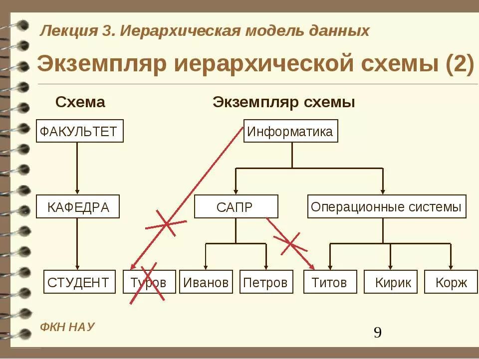 Модель иерархической системы. Иерархическая схема. Иерархия схема. Иерархическая модель данных. Структура иерархической модели данных.