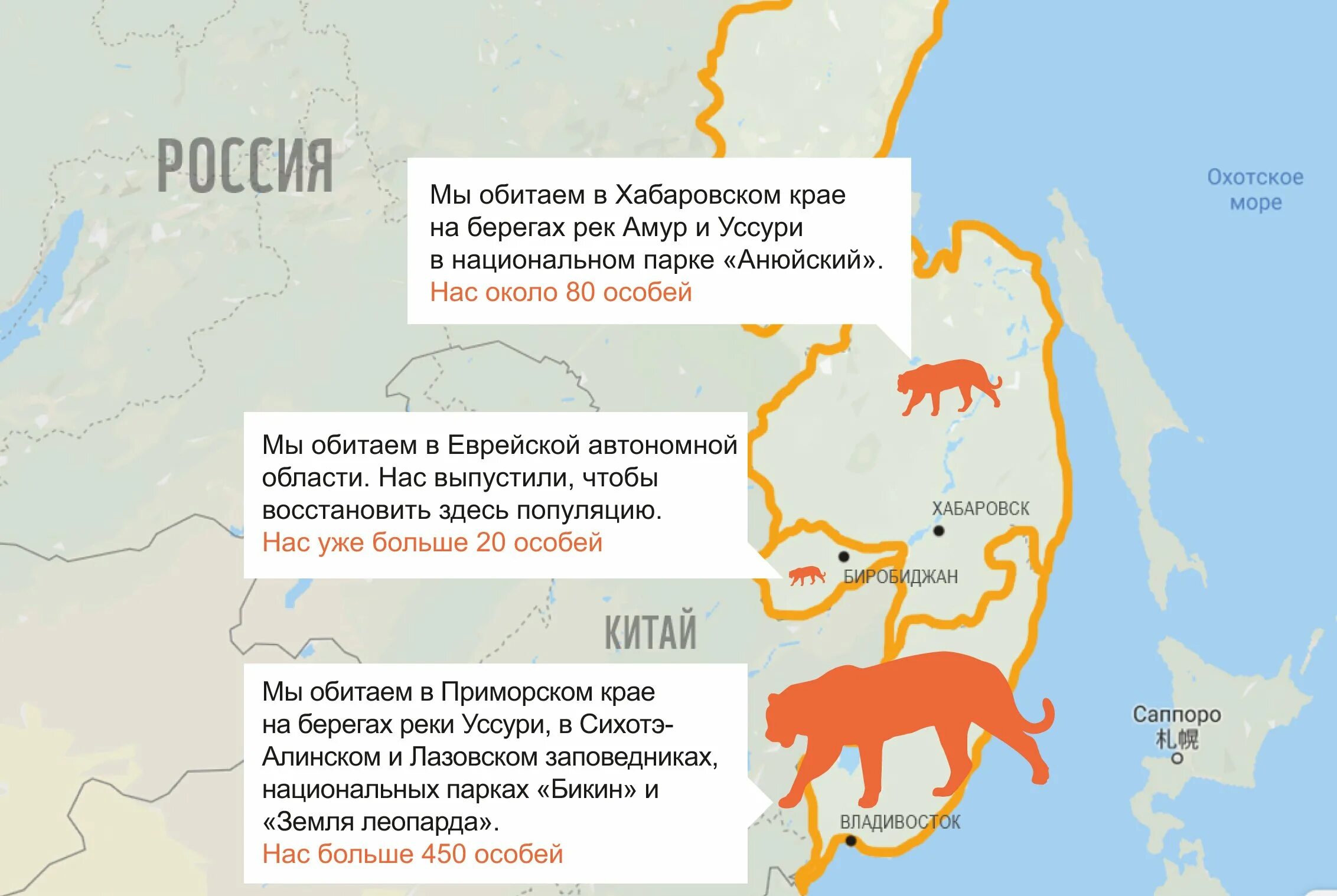 Хабаровский край какая зона. Место обитания Амурского тигра. Амурский тигр ареал обитания в России. Где живет Амурский тигр на карте. Ареал обитания Амурского тигра.