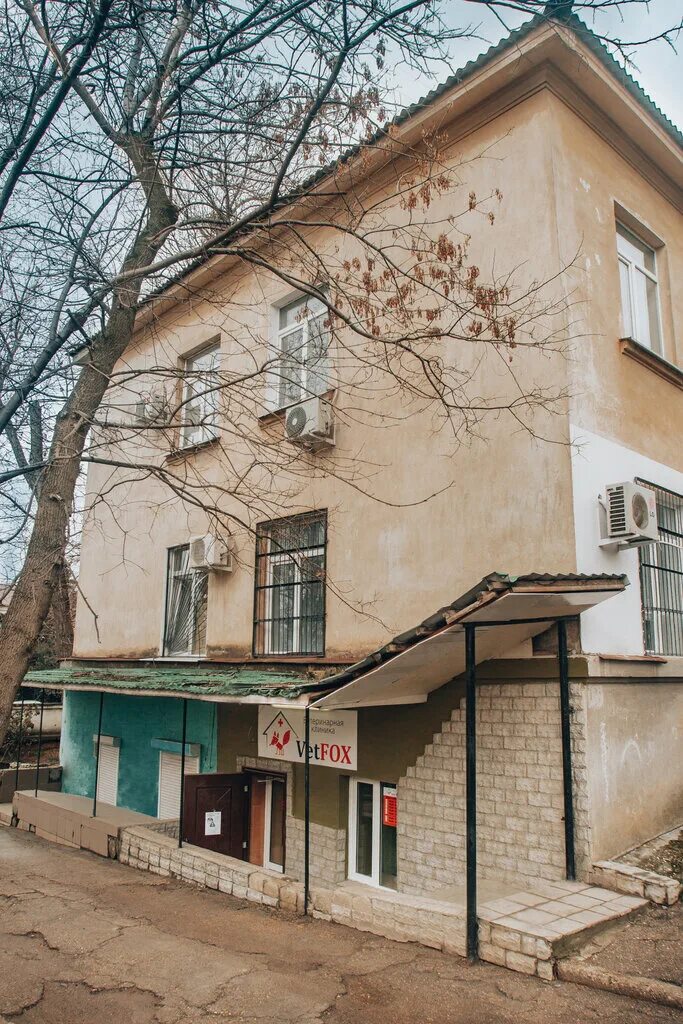 Мопс отзывы. Мопс вакцинация. Мопс у ветеринара. Мопс ветклиника севастополь. Мопс ветклиника севастополь.
