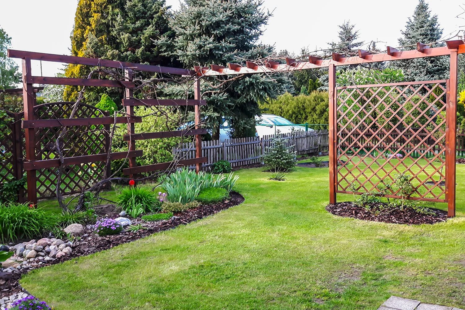 компаньоны для винограда - Яндекс: нашёлся 1 млн результатов Small backyard land