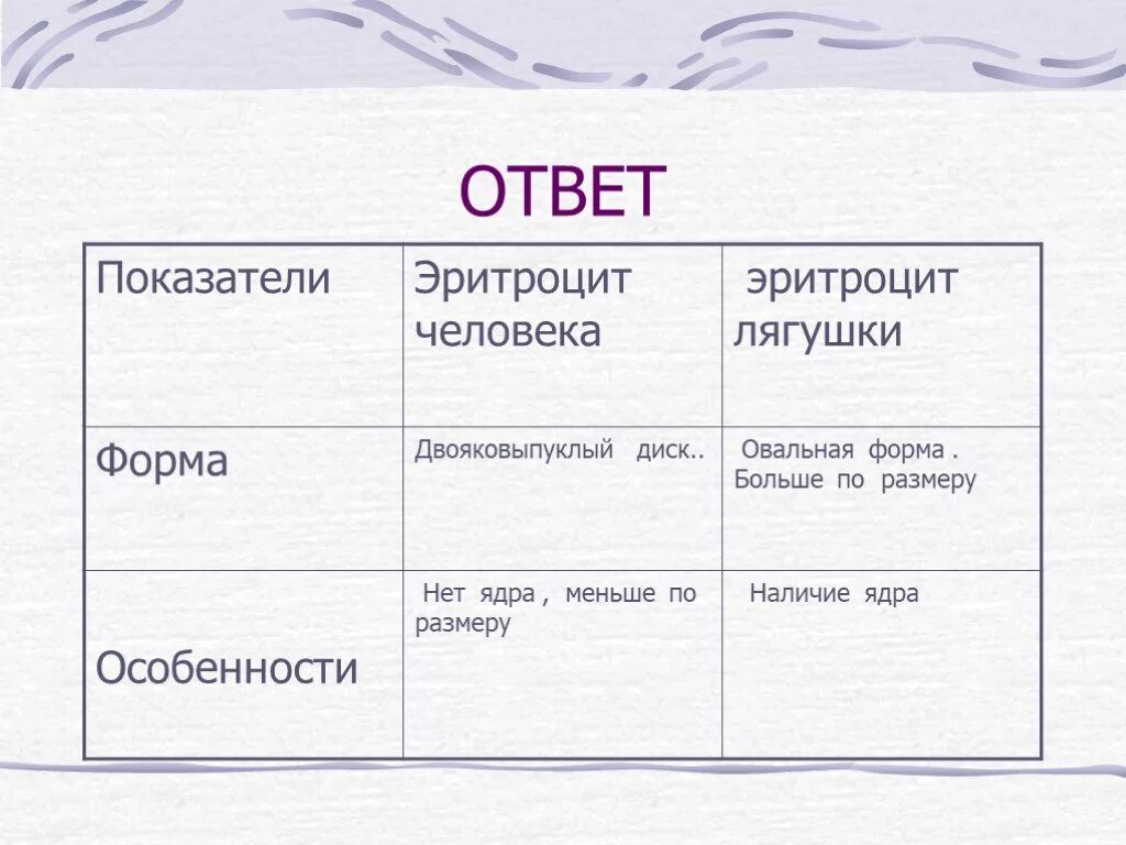 Наличие ядра человека. Форма эритроцитов лягушки. Форма клетки человека и лягушки. Форма эритроцита лягцшка. Таблица эритроциты человека и лягушки.