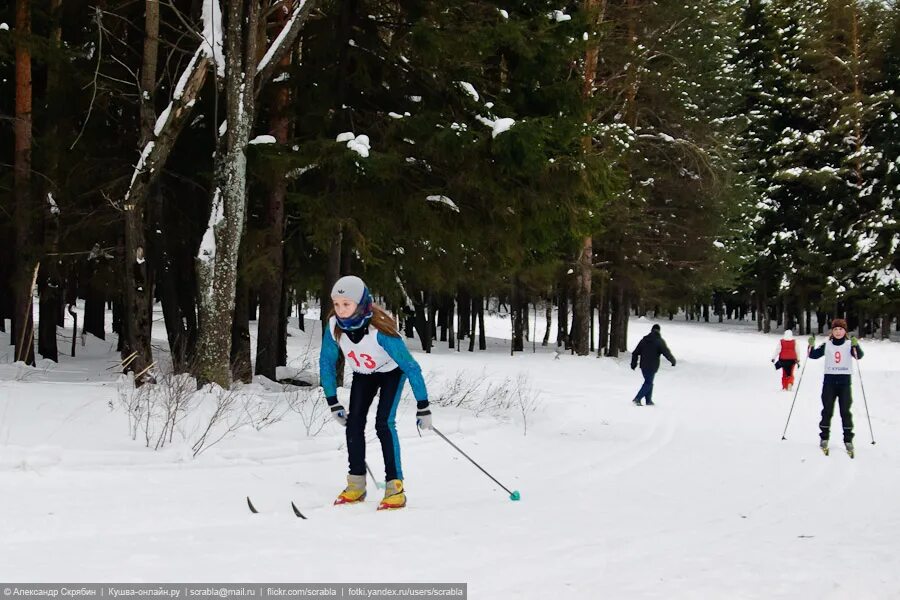 результаты лыжных соревнований. соревнования в сатке по лыжи. результаты лыжных соревнований. результаты лыжных соревнований. тренер по лыжам.
