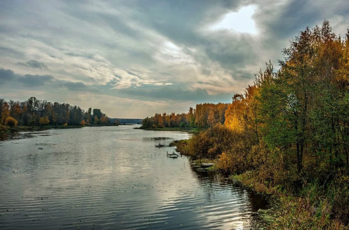 Речка пехорка в балашихе. Речка пехорка в балашихе. Пехорка река люберцы. Речка пехорка в балашихе. Река пехорка московская область.