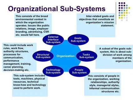 Organization but