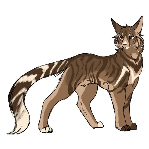 Коты воители однозвезд. Коты воители однозвёзд. Коты воители одноус. Коты воители однозвезд. Однозвезд кв.