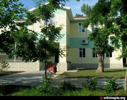 Лагерь медвежонок
