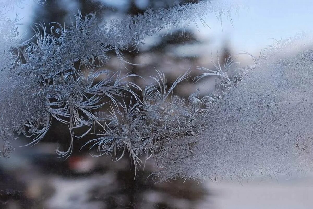 Фф и в морозном лесу навеки останусь. Морозные узоры на окне. Морозные узоры на стекле. Иней на окне. Мороз на окне.