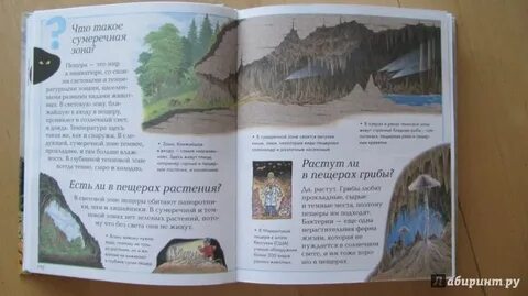 Почему книга дорога