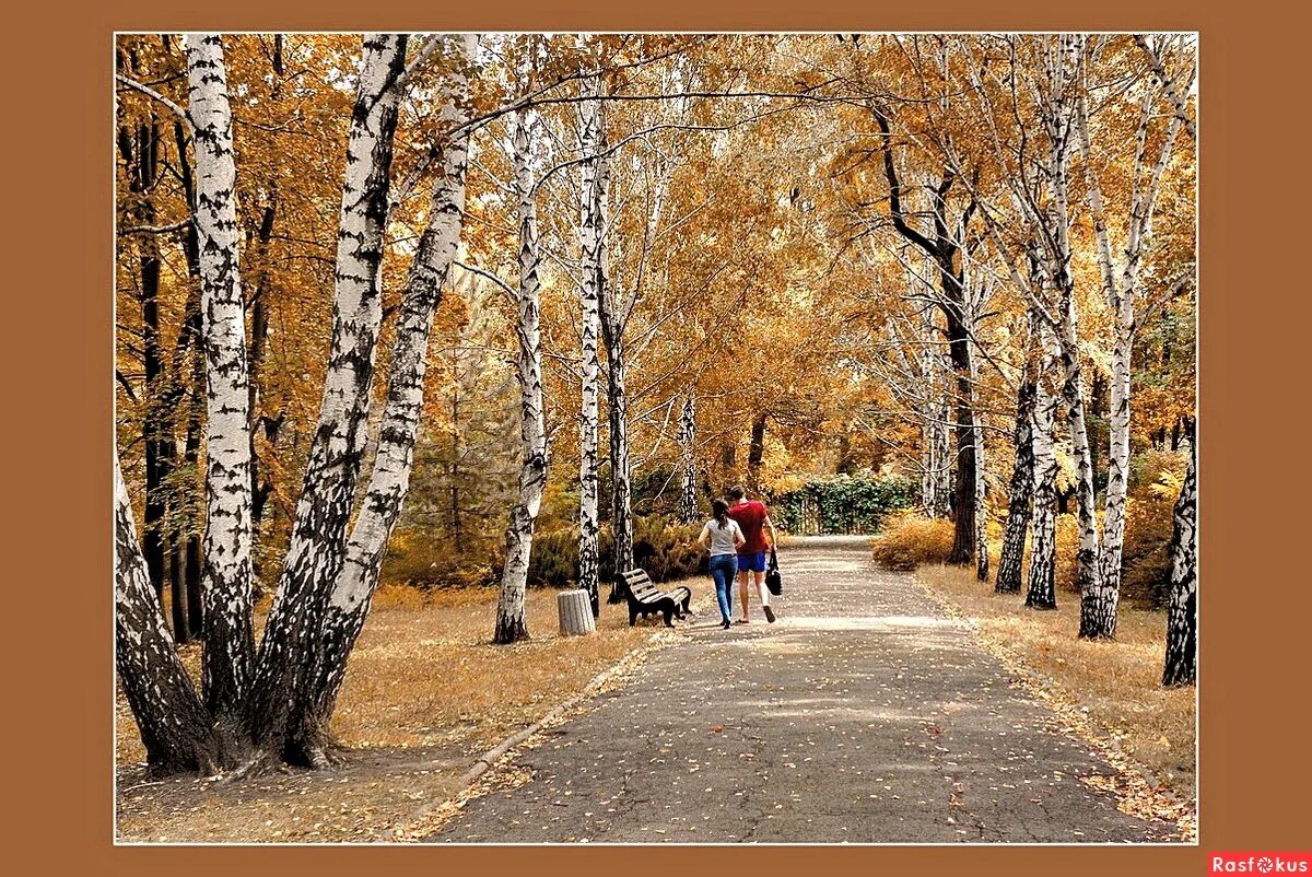 погожим сентябрьским утром мы мчались. ясным утром сентября хлеб молотят села мчатся. школьные годы чудесные годы. в первый погожий сентябрьский денек текст. козлов в сентябре в сентябре утром.
